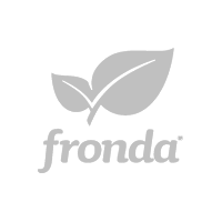logo-fronda